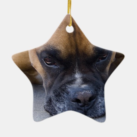 Resting Boxer Dog Ornament (Achterkant)