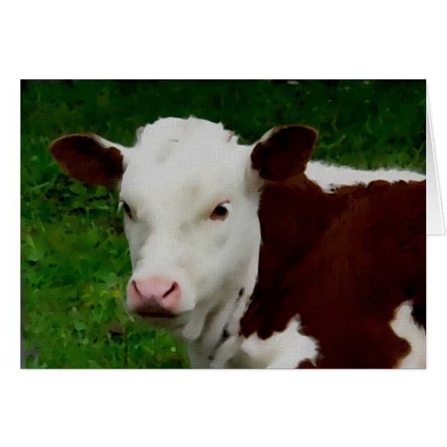 Resting Calf-kaart (Voorkant Horizontaal)