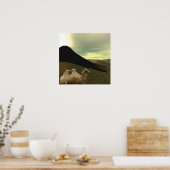 Resting Camel Poster (Keuken)