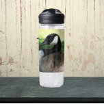 Resting Canada Goose Wildlife Foto Waterfles<br><div class="desc">Voor dier- en natuur fans! Blijf waar je ook bent uitgeblust met deze heldere,  plastic waterfles met het foto-afbeelding van een rustende Canadese gans. Selecteer de grootte en kleur van uw waterfles. OPMERKING: Afbeelding niet geoptimaliseerd voor de stijl van het Kind.</div>