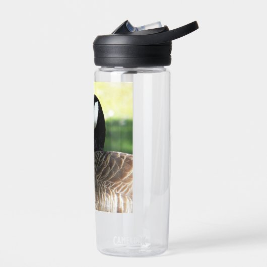 Resting Canada Goose Wildlife Foto Waterfles (Links)