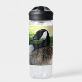 Resting Canada Goose Wildlife Foto Waterfles (Voorkant)