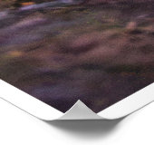 Resting Canada Lynx Wildlife Portrait Print Poster (Hoek)