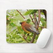 Resting Cedar Waxing Muismat (Met muis)