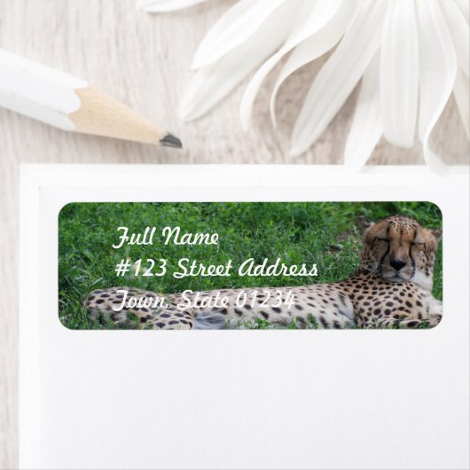 Resting Cheetah Mailing Label (Insitu)