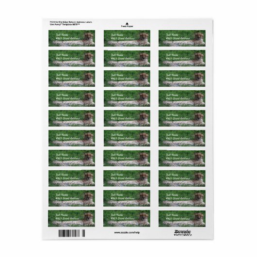 Resting Cheetah Mailing Label (Full Sheet)