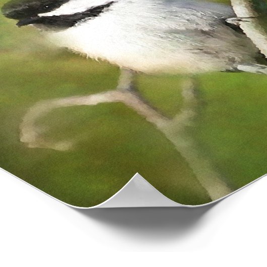 Resting Chickadee - ETSY Poster (Hoek)