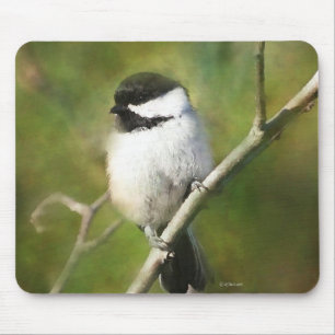 REsting Chikadee - ETSY Muismat