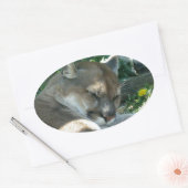 Resting Cougar Stickers (Envelop)