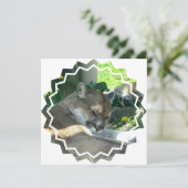 Resting Cougar Uitnodiging (Staand voorkant)