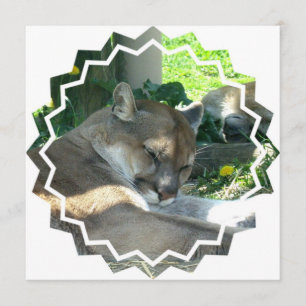 Resting Cougar Uitnodiging