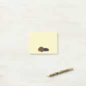Resting Dachshund Post-It Notes (Op bureau)