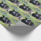 Resting Dairy Koe Green Postmarks Back Cadeaupapier (Hoek)