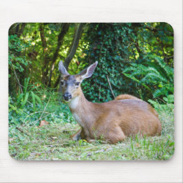 Resting Deer Mousepad Muismat