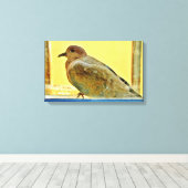 Resting Dove Canvas Afdruk (Insitu (Houten vloer))