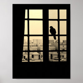 Resting Dove Poster