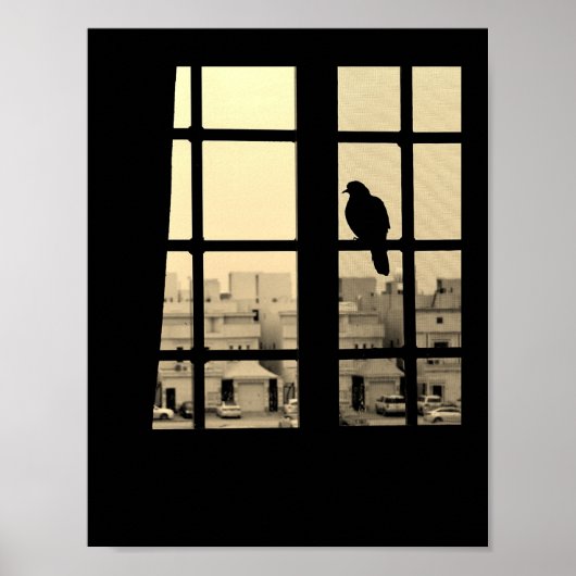 Resting Dove Poster (Voorkant)