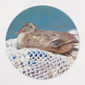 Resting Duck Labels (Design 2)