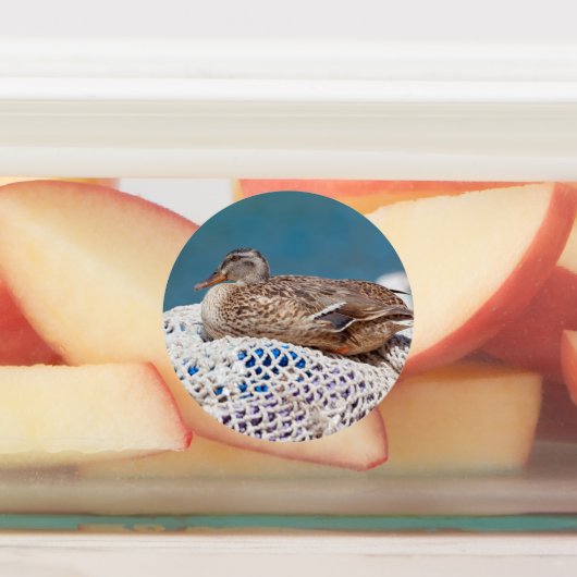 Resting Duck Labels (Aangebracht)