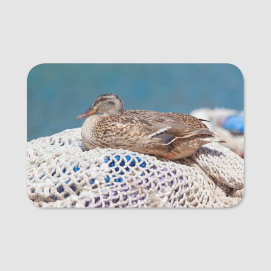 Resting Duck Naamplaatje (Voorkant)