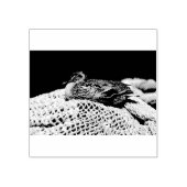 Resting Duck Rubberstempel (Afrduk)
