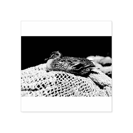 Resting Duck Rubberstempel (Afrduk)