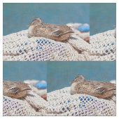 Resting Duck Stof (Close Up)