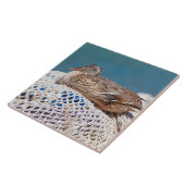 Resting Duck Tegeltje (Zijkant)