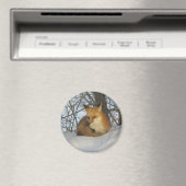 Resting Fox Magneet (Insitu (Vaatwasser))