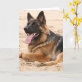 Resting German Shepherd Dog Wenskaart Kaart (Gele Bloem)