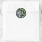 Resting Gray Wolf 3 Wildlife Gift Ronde Sticker (Tas)