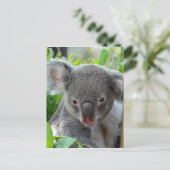Resting, Happy Koala Briefkaart (Staand voorkant)