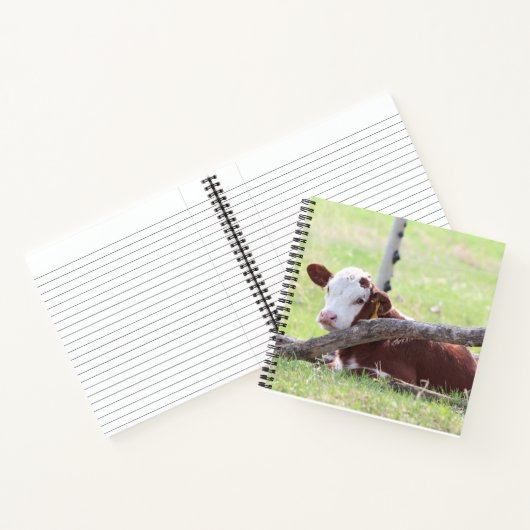 Resting Hereford Calf Notitieboek (Binnen)