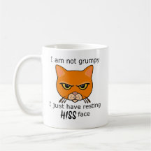 Resting Hiss Face Oranje Cat - Voordelen PACR