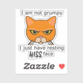 Resting Hiss Face Oranje Cat - Voordelen PACR Sticker (Vel)