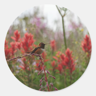 Resting Hummingbird Ronde Sticker