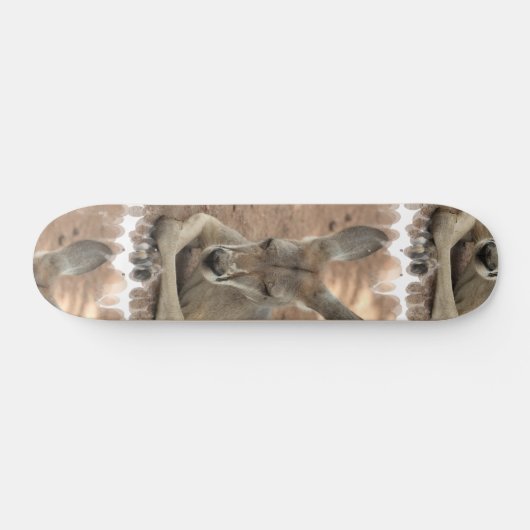 Resting Kangaroo Skateboard (Horizontaal)