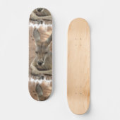 Resting Kangaroo Skateboard (Voorkant)