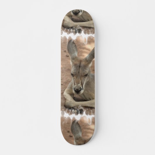 Resting Kangaroo Skateboard (Voorkant)