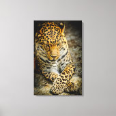 Resting Leopard Canvas Afdruk (Voorkant)