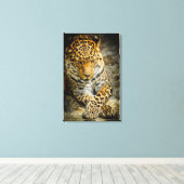 Resting Leopard Canvas Afdruk (Insitu (Houten vloer))