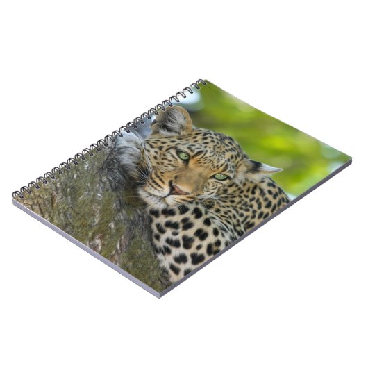 Resting Leopard Notitieboek (Linkerzijde)