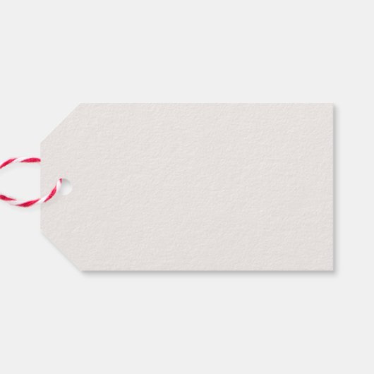 Resting Lion (door Abbott Handerson Thayer) Cadeaulabel (Achterkant Horizontaal)