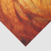 Resting Lion (door Abbott Handerson Thayer) Tissuepapier (Detail)