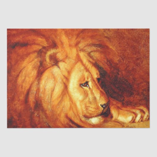 Resting Lion (door Abbott Handerson Thayer) Tissuepapier (Voorkant)