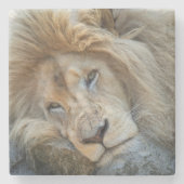 Resting Lion Stenen Onderzetter (Voorkant)