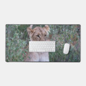 Resting Lioness in African Wilderness Bureaumat (Keyboard & Muis)