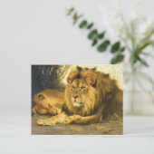 Resting Lions door Wilhelm Kuhnert Briefkaart (Staand voorkant)