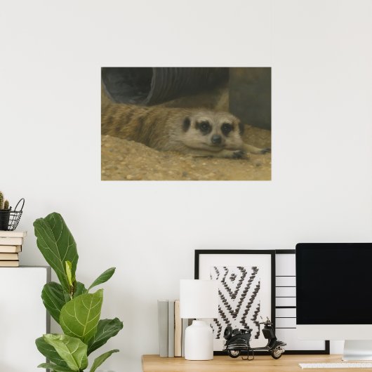 Resting Meerkat – Realistic Wildlife Art Poster (Thuiskantoor)