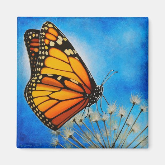Resting Monarch magneet (Voorkant)